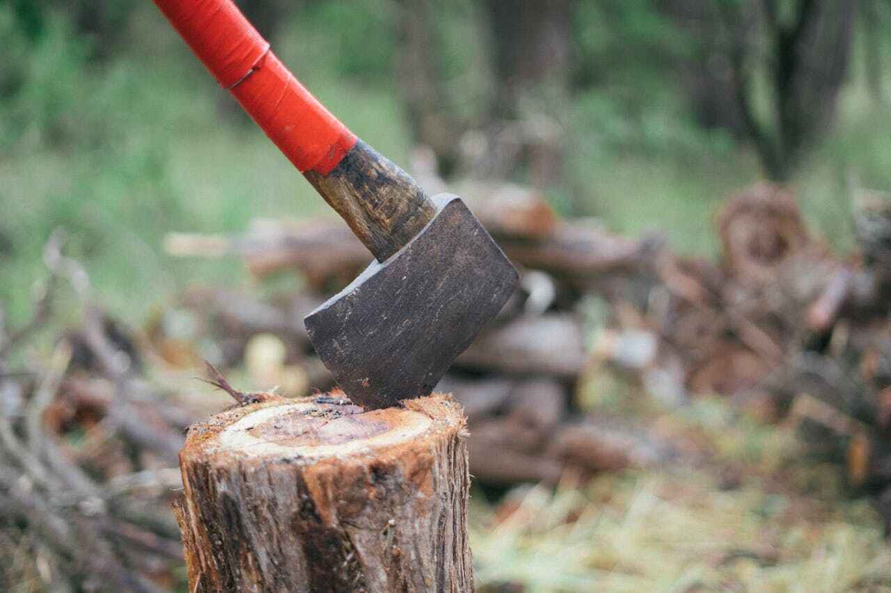 Emergency Storm Tree Removal in Fulton, MO